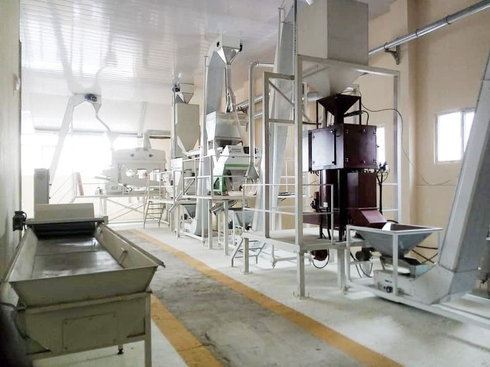 Machines in a seed processing line