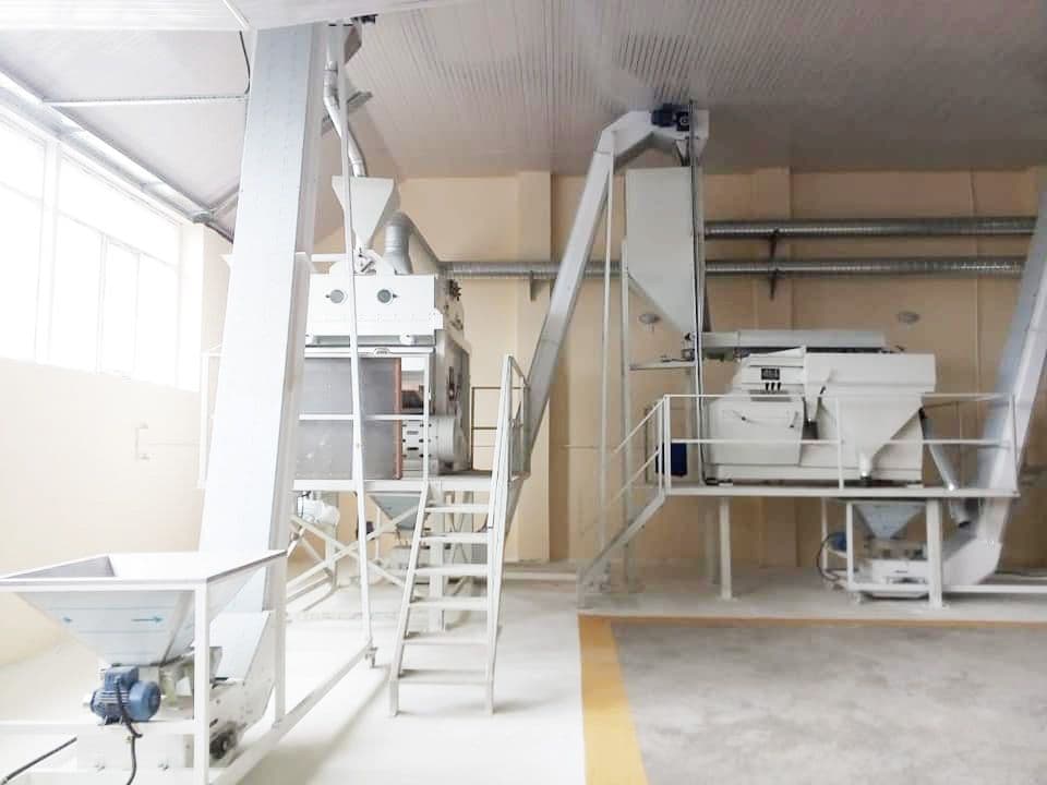 Feeding and elevator in a seed processing line