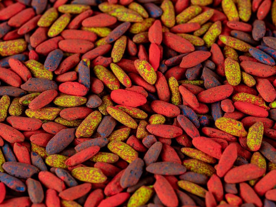 Seeds with a coloured protective coating